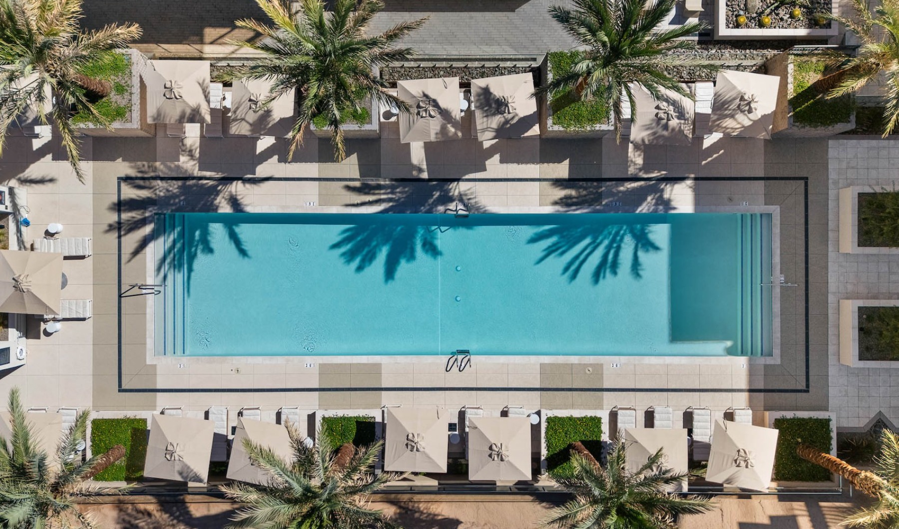 Resort-style swimming pool with lounge seating at The Monde in Scottsdale